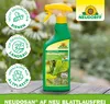 Neudorff Neudosan AF Neu Blattlausfrei 500 ml Produktbild-Vorschau 12