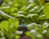 Gardena MDS GARDENA Micro Strip Endline Sprinkler 13318-20 Voir les images du produit 9