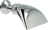 A chrome-plated shower head with a curved, wide spout, mounted on a wall fixture. Produktbild-Vorschau