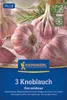 Kiepenkerl Winterpflanzknoblauch Germidour - violett Allium Produktbild-Vorschau 3
