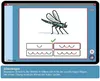 ABC der Tiere 1 Neubearbeitung - Arbeitsheft Druckschrift, Produktbild-Vorschau 6