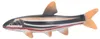Meerestierfigur, Sicherheits-PVC-Ozeanmodell, pädagogisches Produktbild-Vorschau 3