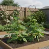 Tuteur pour plantes grimpantes Relaxdays, lot de 2, motif Voir les images du produit 3