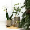 Kolibri Home | Pflanzenständer - Gold Metall Produktbild-Vorschau 8