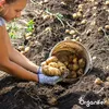 Nawóz organiczny z wełny owczej – granulat (5 kg na 50 m2) Podgląd zdjęcia produktu 6
