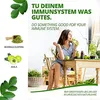 Moringa+Amla Kapseln I Immunsystem & Energie I Moringa Produktbild-Vorschau 5