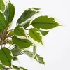 Kunstpflanze Ficus im Topf grün/mehrfarbig 40cm Produktbild-Vorschau 3