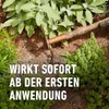 COMPO  Kräuterdünger 500 ml Produktbild-Vorschau 5