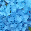 2 x  hortenzie  - Hydrangea macrophylla 'Nikko Blue'  | Náhled obrázku produktu 1