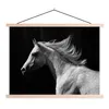MuchoWow® Textilposter Pferde - Nutztiere - Mähnen 150x113 Produktbild-Vorschau 1