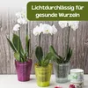 Orchideentopf Transparent Orchideen Übertopf Orchideentopf Produktbild-Vorschau 6