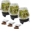 3 X Keimglas Twist-Off + Radieschensamen KEIMGERäT KEIMBOX Produktbild-Vorschau 1