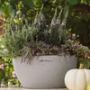 Lechuza Samozavlažovací květináč Cubeto Stone průměr 30 cm, Náhled obrázku produktu 20