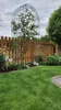 Rosenbogen Paris Rund B 1,60 m Schwarz Pergola Produktbild-Vorschau 3
