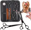 A set of grooming scissors and a comb are displayed in a black case, with a Yorkshire Terrier in the background. Náhľad obrázku produktu