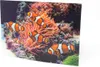 3D Postkarte Clownfische 16 x 11 cm Produktbild-Vorschau 1