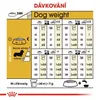 Klein Royal Canin Dachshund Adulto Pollo Arroz Aves 1,5 Kg Produktbild-Vorschau 12