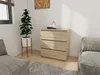 A modern bedroom corner with a wooden dresser, a plant, and part of a sofa. Náhled obrázku produktu