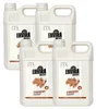 Envira Spinnen Abwehrspray im Vorteilspack 4x5L Produktbild-Vorschau 1