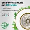 Close-up view of a ceiling fan with text overlays highlighting its features. Produktbild-Vorschau
