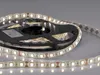 Striscia LED 12 V, 5 m, IP65, 4000 K, 2200 lm  309051 Polux Anteprima dell’immagine prodotto 6