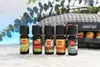Five small bottles of essential oils are lined up on a textured surface, with a blurred green plant and gray fabric in the background. Anteprima dell’immagine prodotto