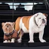 Relaxdays Hundegitter Auto, Schutzgitter Hund, zum Klemmen, Produktbild-Vorschau 5