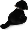 RAPPA Plüsch Labrador schwarz 25 cm ECO-FRIENDLY Produktbild-Vorschau 3