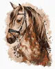 Zuty - Malování podle čísel - HNĚDÝ KŮŇ, 40x50 cm, vypnuté Náhled obrázku produktu 1