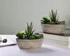 T4U pianta artificiale succulenta verde set di 2 con vaso Anteprima dell’immagine prodotto 4