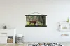 MuchoWow® Textilposter Schottisches Hochlandrind - Kröte - Produktbild-Vorschau 2