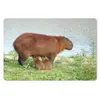 MuchoWow® Mauspad Mousepad Ein Wasserschwein mit zwei Produktbild-Vorschau 1