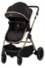Chipolino Kombikinderwagen Pearl 2 in 1 umbaubar Rucksack Produktbild-Vorschau 11