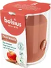 Bolsius Duftkerze True Scents Apfel-Zimt 8 cm im Glas Produktbild-Vorschau 3