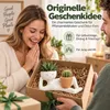 Blumentopf für Sukkulenten, lustiger Pflanztopf mit Produktbild-Vorschau 6