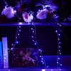 A decorated shelf with flowers, books, and a gift box, illuminated by blue string lights. Produktbild-Vorschau