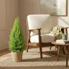 Green boutiQ - Zimmerpflanzen - Cupressus Gold Crest Wilma Produktbild-Vorschau 5