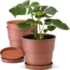 Plastard Blumentöpfe Milano 3er Set Ø 20 cm Terrakotta mit Produktbild-Vorschau 1
