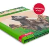 ROTH Zeugnismappe Tyrannosaurus mit Folieneffekt  - mit 10 Produktbild-Vorschau 3