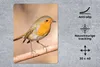MuchoWow® Mauspad Mousepad Vogel - Zweig - Rotkehlchen Produktbild-Vorschau 2