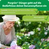Purgrün Bananendünger 1 Liter Produktbild-Vorschau 6