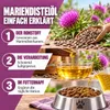 REAVET Olio di cardo mariano per cani e cavalli, 250 ml – Anteprima dell’immagine prodotto 5