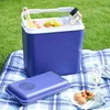 A blue cooler box filled with drinks and fruit sits on a blue and white checkered blanket on the grass. A separate blue lid is placed next to it, and a plate with food and a glass of wine are also visible. Produktbild-Vorschau