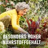 Gartendünger COMPO  Blaudünger 4 kg, Universaldünger Produktbild-Vorschau 7