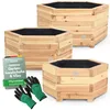 holz4home® 3er SetOutdoor Pflanzkübel  I 6-Eckig aus Produktbild-Vorschau 1
