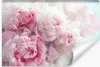 Muralo Selbstklebende Fototapete BLUMEN Pfingstrosen Natur Produktbild-Vorschau 1