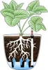 T4U 15cm Pot de fleurs auto-irrigant Lot de 4 Blancs avec Voir les images du produit 4