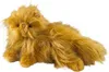 Pluszowa Figurka Crookshanks 25 cm - Harry Potter - od ma Voir les images du produit 2