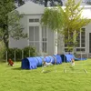 Pawhut PawHut Agilityset met hondenflesje D07-044V00 Productafbeelding-voorbeeld 2