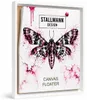 Stallmann Design Schattenfugenrahmen 80x120 cm | Farbe: Produktbild-Vorschau 1
